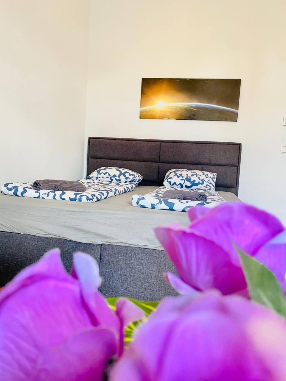 Cozy In Brigittenau Area Mm23 Accommodatie bij particulieren Wenen