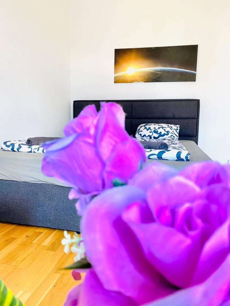 Accommodatie bij particulieren Cozy In Brigittenau Area Mm23 *